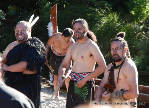 Village Tamaki, Rotorua, île du Nord, Nouvelle-Zélande