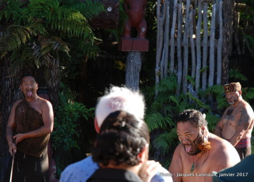Village Tamaki, Rotorua, île du Nord, Nouvelle-Zélande