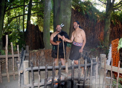 Village Tamaki, Rotorua, île du Nord, Nouvelle-Zélande