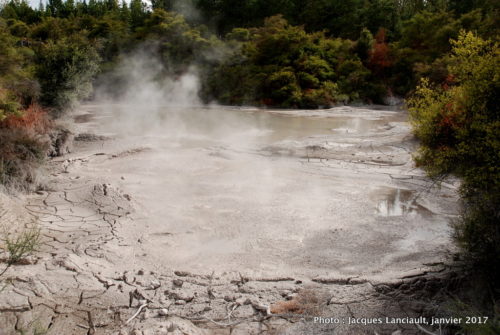 Rotorua, île du Nord, Nouvelle-Zélande