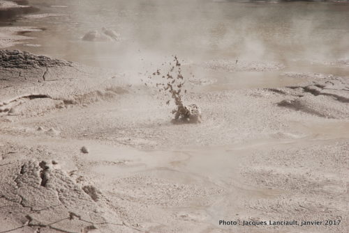 Rotorua, île du Nord, Nouvelle-Zélande