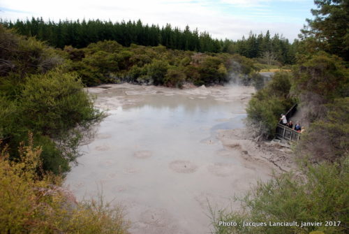 Rotorua, île du Nord, Nouvelle-Zélande