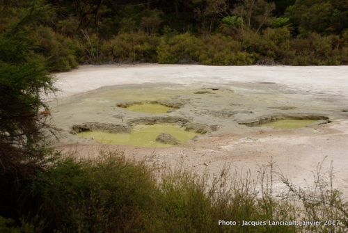 Réserve thermale de Wai-o-Tapu, île du Nord, Nouvelle-Zélande