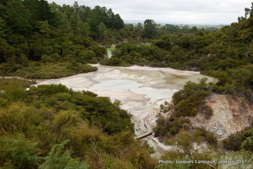 Réserve thermale de Wai-o-Tapu, île du Nord, Nouvelle-Zélande