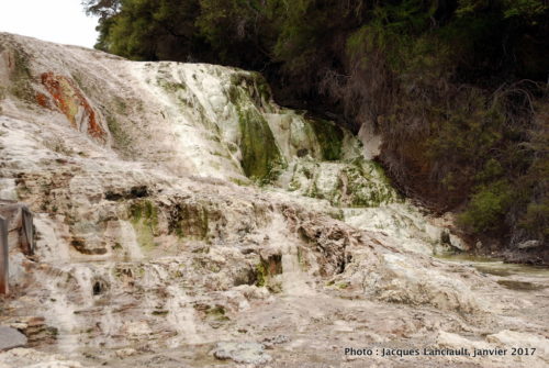 Réserve thermale de Wai-o-Tapu, île du Nord, Nouvelle-Zélande