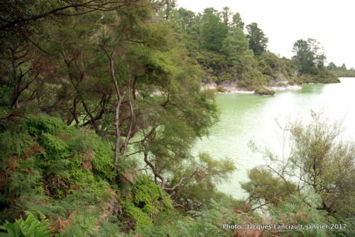 Réserve thermale de Wai-o-Tapu, île du Nord, Nouvelle-Zélande