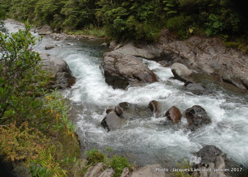 Chutes Tawhai, parc national de Tangariro, île du Nord, Nouvelle-Zélande