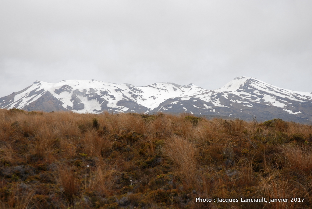 Mont Ruapehu, île du Nord, Nouvelle-Zélande