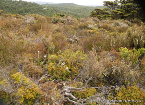 Mont Ruapehu, parc national de Tangariro, île du Nord, Nouvelle-Zélande
