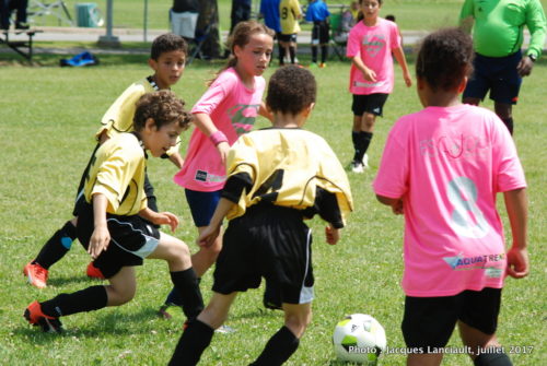 SuperGirls, Ligue latine, Collège Marie-Victorin, Montréal, Québec