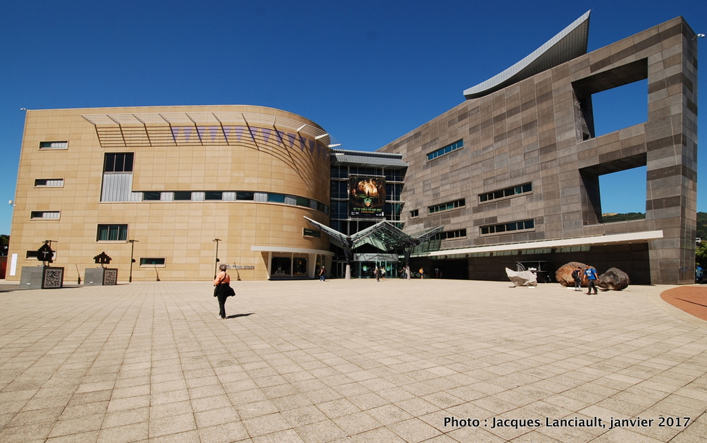 Musée Te Papa Tongarewa, Wellington, île du Nord, Nouvelle-Zélande