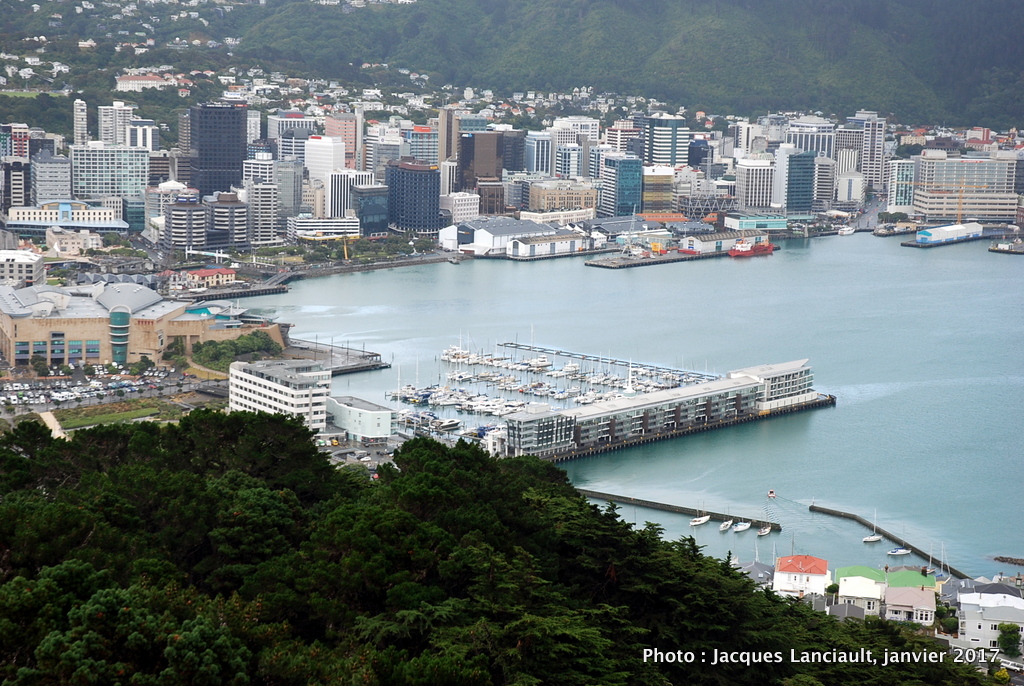 Wellington vue du Mount Victoria Lookout, Wellington, île du Nord, Nouvelle-Zélande