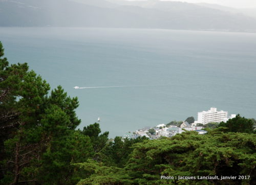 Wellington vue du Mount Victoria Lookout, Wellington, île du Nord, Nouvelle-Zélande