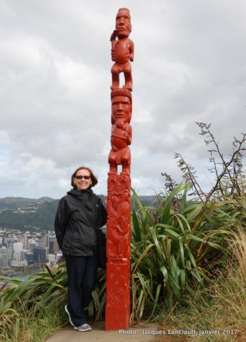 20 janvier 2017 - Wellington vue du Mount Victoria Lookout, Wellington, île du Nord, Nouvelle-Zélande