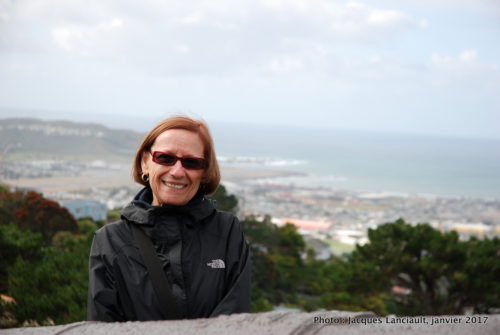 20 janvier 2017 - Wellington vue du Mount Victoria Lookout, Wellington, île du Nord, Nouvelle-Zélande