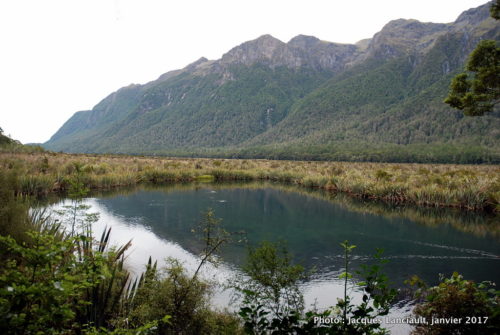 Parc national de Fjordland, île du Sud, Nouvelle-Zélande