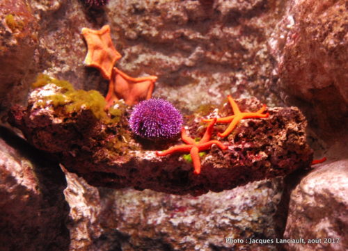 Aquarium de Paris, Paris, France