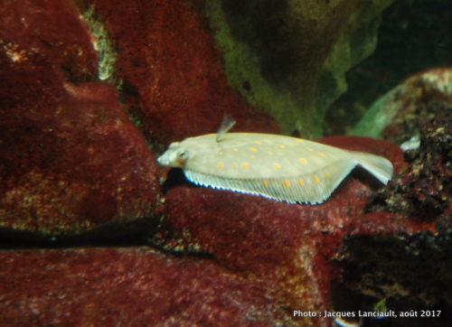 Aquarium de Paris, Paris, France