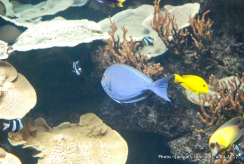 Aquarium de Paris, Paris, France