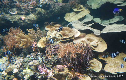 Aquarium de Paris, Paris, France