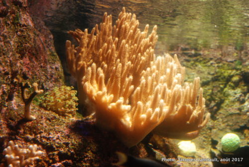 Aquarium de Paris, Paris, France