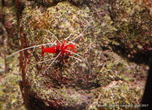 Aquarium de Paris, Paris, France