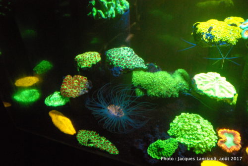 Aquarium de Paris, Paris, France