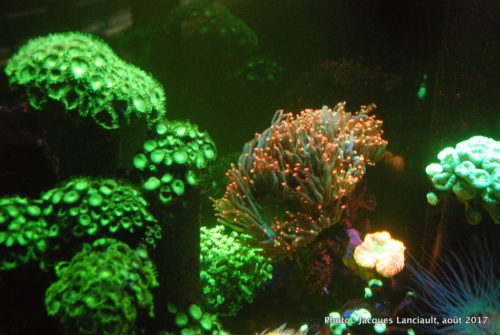 Aquarium de Paris, Paris, France