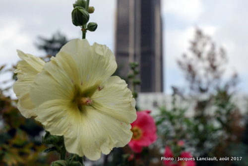 Jardin Atlantique, Paris, France