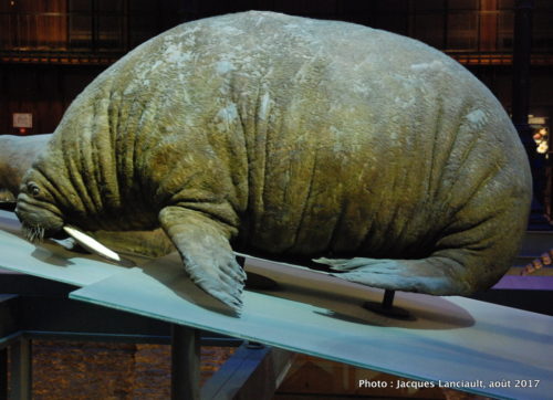 Muséum national d’histoire naturelle, Paris, France