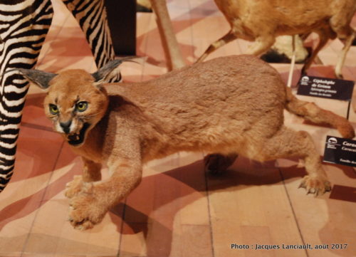 Muséum national d’histoire naturelle, Paris, France