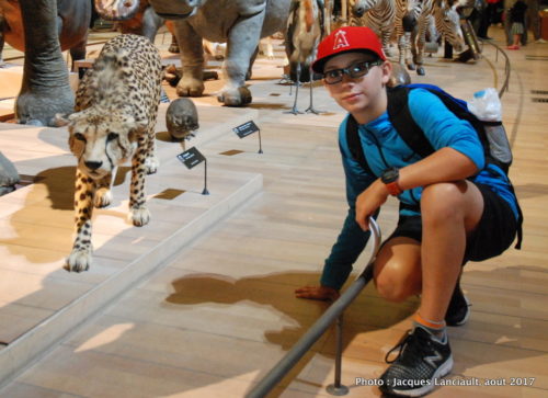 Muséum national d’histoire naturelle, Paris, France