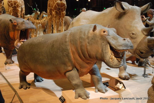 Muséum national d’histoire naturelle, Paris, France