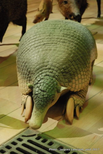 Muséum national d’histoire naturelle, Paris, France