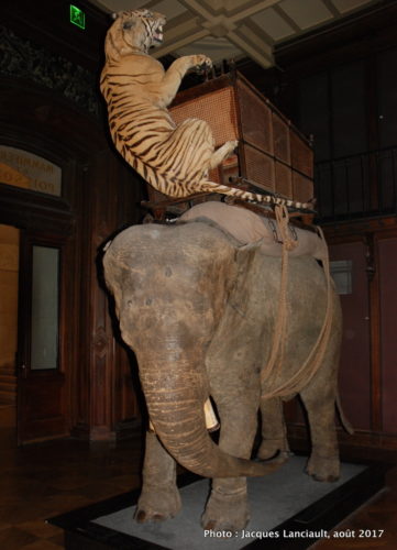 Muséum national d’histoire naturelle, Paris, France