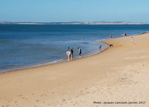 Cowes, Phillip Island, Australie
