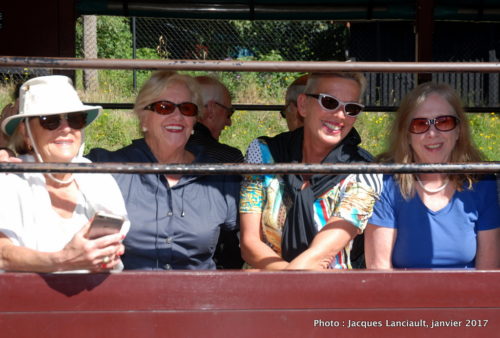 Puffing Billy, Belgrade, Australie