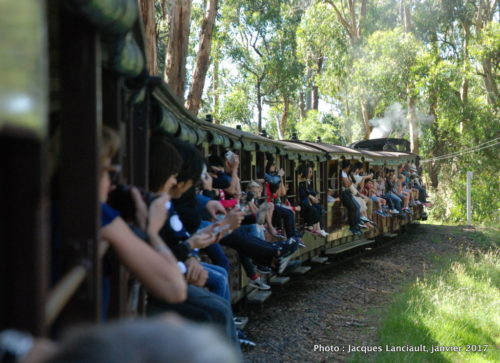 Puffing Billy, Belgrade, Australie