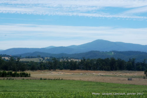 Yarra Valley, État du Victoria, Australie