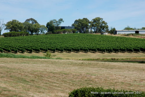 Dominique Portet Winery, Yarra Valley, État du Victoria, Australie
