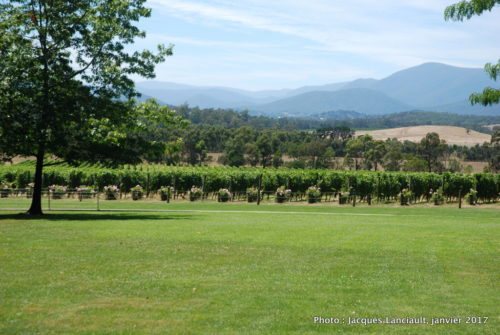 Green Point, Yarra Valley, État du Victoria, Australie