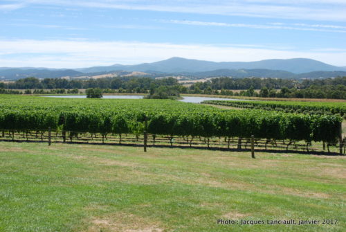 Green Point, Yarra Valley, État du Victoria, Australie