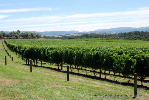 Green Point, Yarra Valley, État du Victoria, Australie