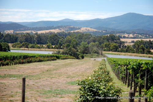 Green Point, Yarra Valley, État du Victoria, Australie