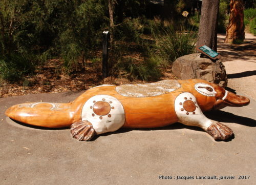 Healesville Sanctuary, Healesville, État du Victoria, Australie