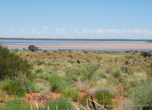 Lac salé, Outback, Australie
