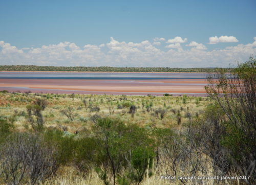 Lac salé, Outback, Australie