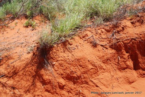 Région du lac salé, Outback, Australie