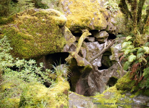 The Chasm Walk, parc national de Fjordland, île du Sud, Nouvelle-Zélande