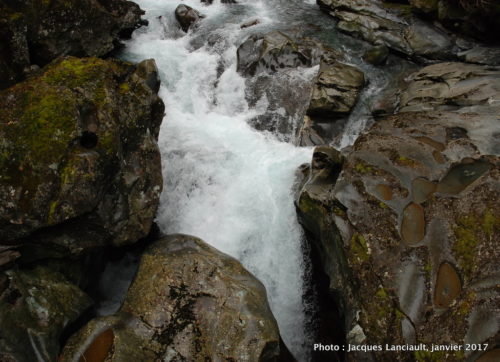 The Chasm Walk, parc national de Fjordland, île du Sud, Nouvelle-Zélande